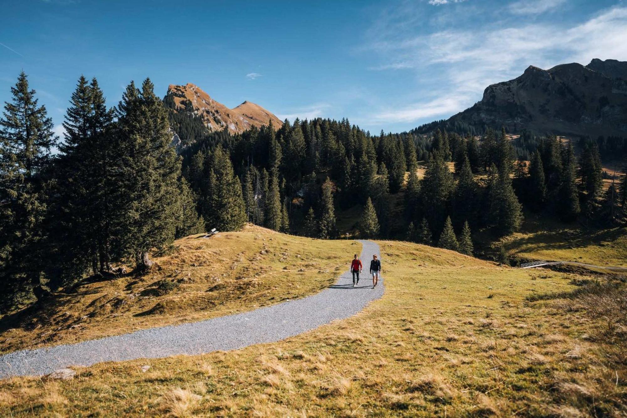 Вілла Familienfreundliches Bregenzerwaelderhaus Au (Vorarlberg) Екстер'єр фото